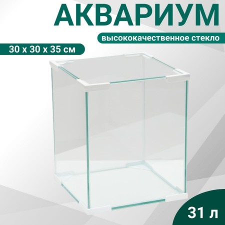 Aquarium "Cube", cover glass, 31 liter, 30 x 30 x 35 cm, white corners