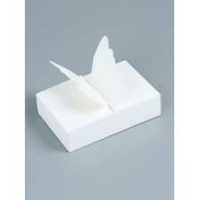 Box for 6 sweets butterfly, 12.6 x 8.3 x 4 cm. Confectionery packaging