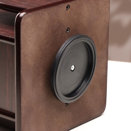 Organizer 6 sections, a series of Zebrano with Kant Dark, rotation 15*18cm-4
