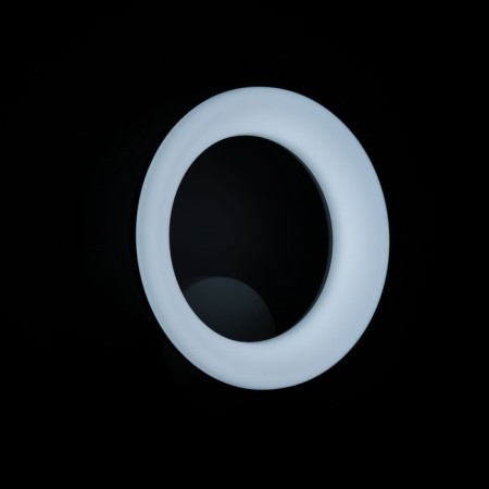 Sconces Citilux "Parker" CL225B310, 25x31 cm, 1x12W, LED, white color-9