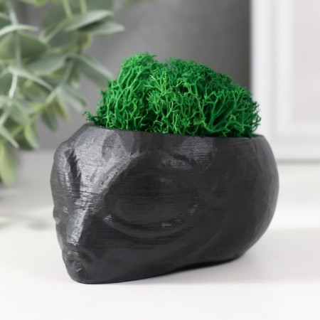 Kashpo concrete "alien" height 5 cm, d-6 cm black with moss (moss green. Stabilizir)-3