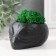 Kashpo concrete "alien" height 5 cm, d-6 cm black with moss (moss green. Stabilizir)