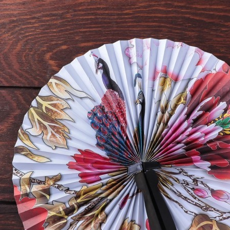 Fan plastic, folding paper-bow "with drawings" mix 13.5x2x1 cm-1