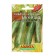 Semen zucchini Zuckini "Tsukesh" "Leader", 10 pcs.