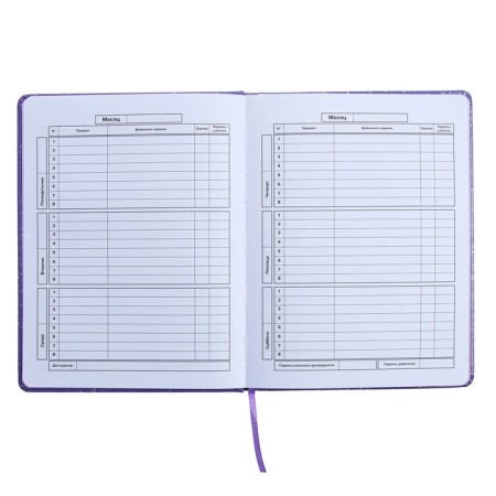 Universal Diary Grade 1-11, 48 sheets "Girl on the Moon", solid cover of artificial leather, applique, liesa, OFSET block-10