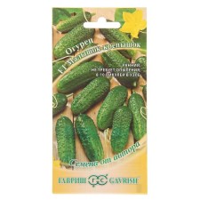 Seeds of the cucumber 