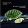 Ceramic serving dish "Tallula. Sheet ", 17 × 9.5 cm, green color