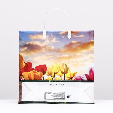 Package "Sunset over tulips", soft plastic, 30 x 30 cm, 120 μm-1