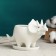 Pot "Triceratops" Bely, 16x6.5x9cm