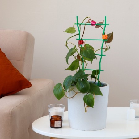 Clip for plants, set 10 pcs., Mix-2