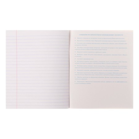 Subject notebook, 48 sheets in the "Neoclassic" line, literature, cover covering cardboard, with reference information-3