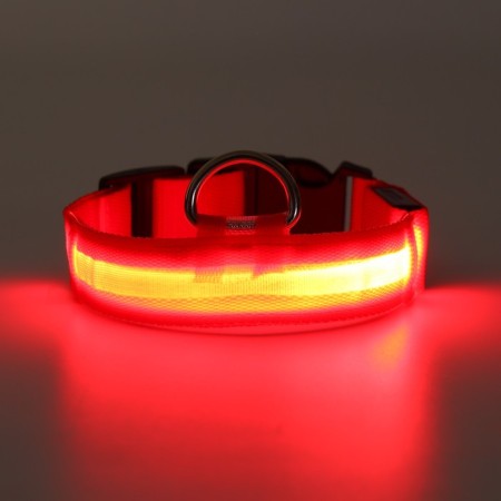 Collar with backlight size S, Osh 35-43 x 2.5 cm, 3 glow modes red-3