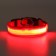Collar with backlight size S, Osh 35-43 x 2.5 cm, 3 glow modes red