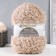 Yarn "Busclayed" 30% moher, 20% wool, 50% acrylic 220m/200g (03-light-beige)