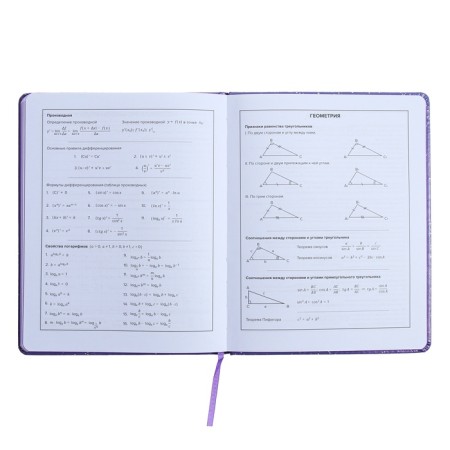 Universal Diary Grade 1-11, 48 sheets "Girl on the Moon", solid cover of artificial leather, applique, liesa, OFSET block-12