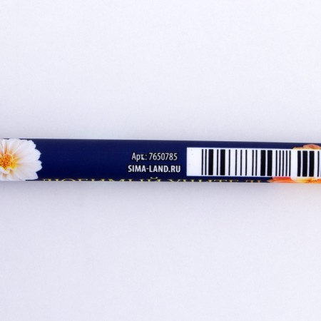 Gift handle "Beloved Teacher", plastic, blue paste, 0.7 mm-2