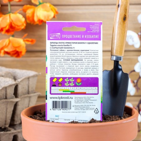 Flower seeds Vanilla, F1, large, cream, o, 5 pcs-1