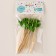 Skewers for the canapes "Leaves" set 24 pcs., Green color