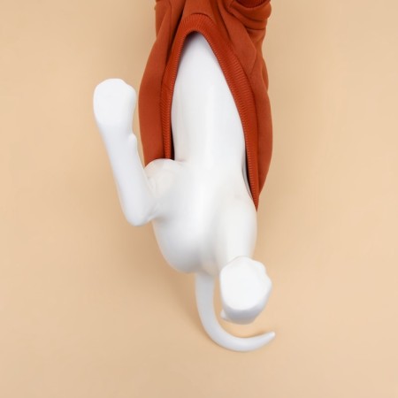 Folder for animals with a hood, size M (DS 40 cm). Beige-5