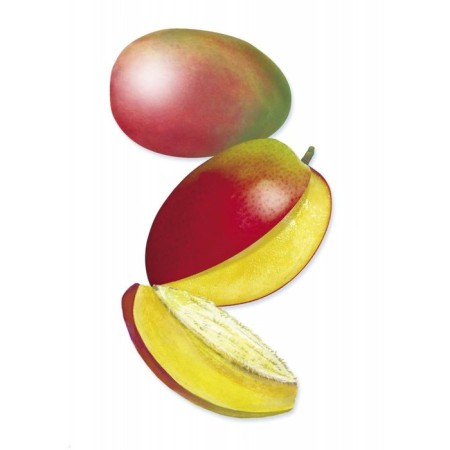Fruits. Kulikovskaya T.-1