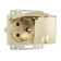 The W1172210 Double moisture protection socket, with grounding, with protective lids and curtains, champagne Riflene