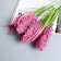 Bouquet "Acacia Florind Galant" 30 cm, mix