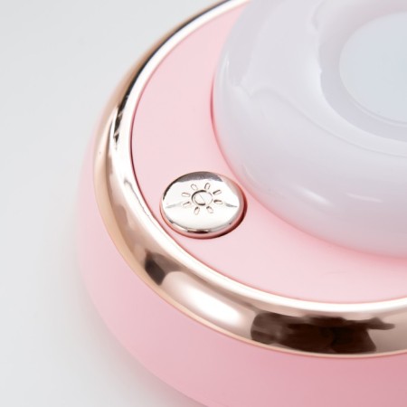 Teddy desktop LED 3W AKB USB Pink 9x13.5x40 cm Risalux-10