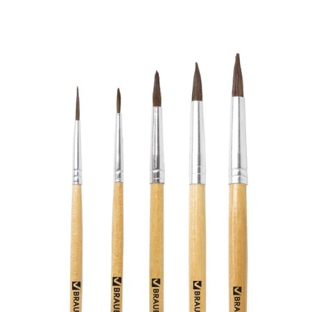 Set of brushes "Pony", 5 pieces, Brauberg (round, No. 1, 2, 3, 4, 5), blister-1