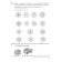We analyze the words in composition. Workbook. 7-11 years. Buiko V., Golentseva O., Khalturina G.