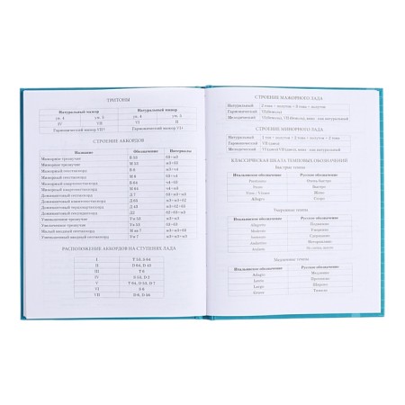 Diary for a music school, 48 sheets, hard cover, matte lamination, foil embossing, reference information, block 60g/m2-13