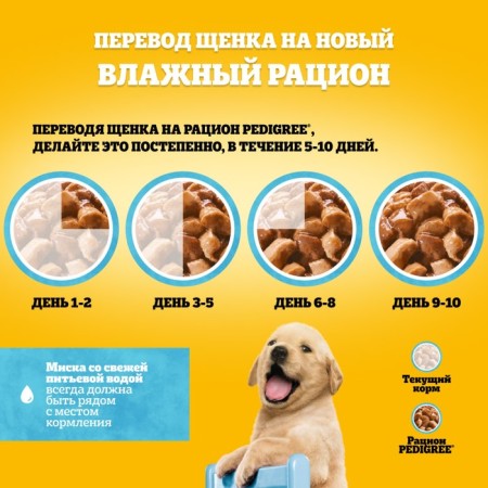 Wet feed Pedigree for puppies, beef in sauce, spider, 85 g-7