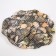Bath pillow with suction cups 33x33 cm "shells", Mix drawing