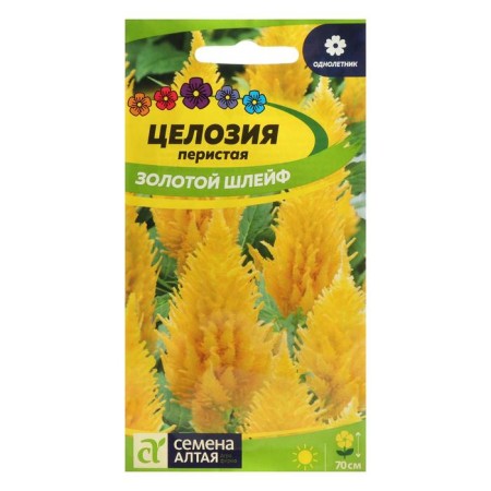 Seeds of flowers CENTISION "GOLD INSTRACT", Curricular, SE. Alt, c/n, 0.2