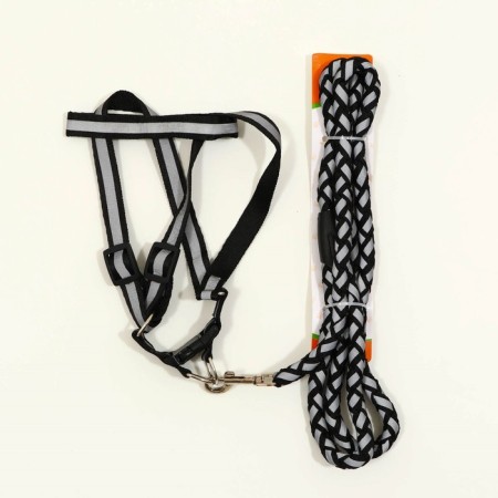 Set "braid", fluorescent, leash 115 x 1 cm, og 32-48 x 1.5 cm, black-6