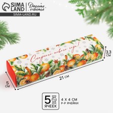 Коробка для конфет «Новогодняя ботаника», 5 х 21 х 3.3 см, Новый год