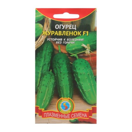 Cucumber cucumber seeds F1
