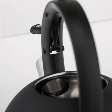 A kettle with a whistle Nadoba Anesa, 2.5 l-3