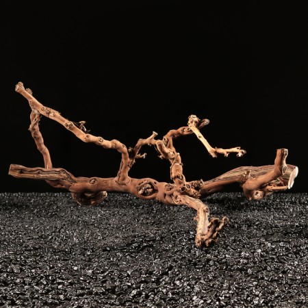 Drunk for the Aquarium "Vine Ginograd", 60 - 70 cm-1