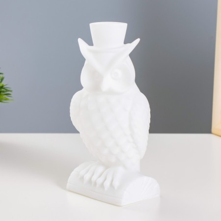 Night Owl LED from white batteries 7x9x19 cm Risalux
