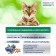 Dry food Perfect Fit for cats, beef, flax, blue, 580 g