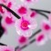 Spinker "Sakura" LED 11.5x25x40 cm Risalux