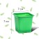 Pot for seedlings, 210 ml, d = 7 cm, h = 6.5 cm, green, in a set of 10 pcs., Greengo