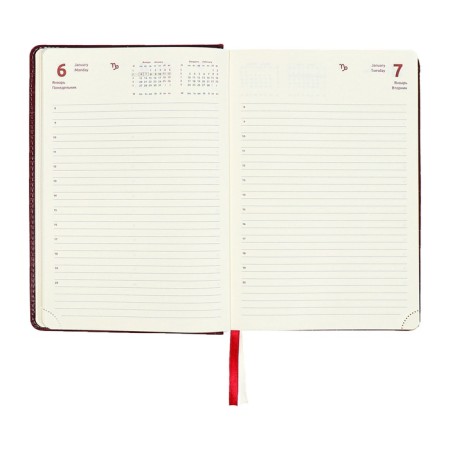 Dated diary 2024 A5 176 sheets, Devente.wild, Firmly covered with artificial leather, gold cut, lies, cream block 70 g/m2, burgundy block-13