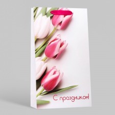 Gift package laminated for two bottles 