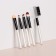 A set of makeup brushes, 5 items, PVC chech, white color