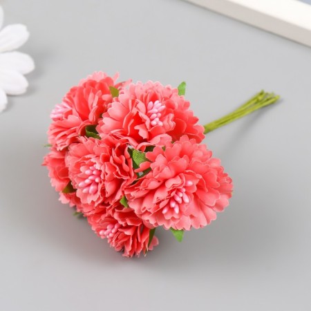Flowers for decorating "Astra coral" 1 bouquet = 6 colors 10 cm-1