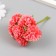 Flowers for decorating "Astra coral" 1 bouquet = 6 colors 10 cm