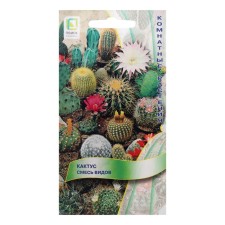 Seed of indoor flowers Cactus 