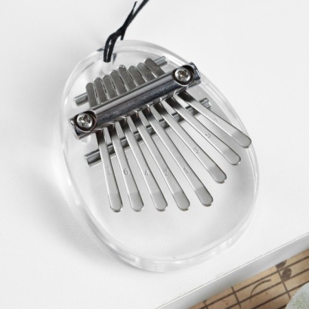 Kalim "pebbles" Music Life, 8 reeds, 7 x 5 x 1.8 cm, acrylic glass-1