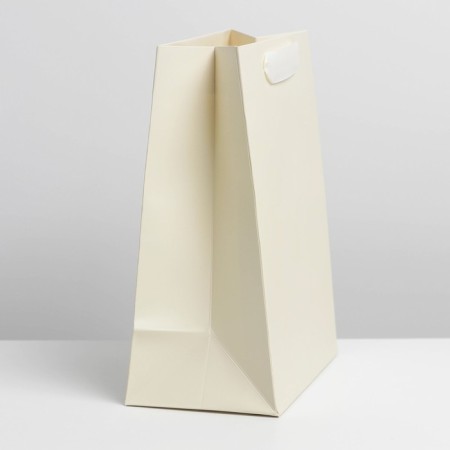 Gift laminated package, packaging, "milk", MS 18 x 23 x 10 cm-1